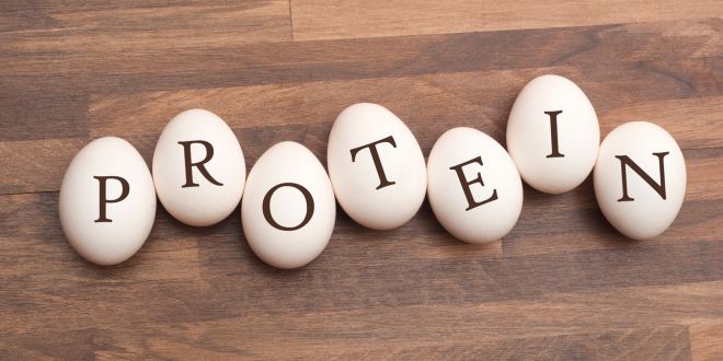 Bổ Sung Đạm (Protein) Thế Nào Là Đủ? Dấu Hiệu Cơ Thể Thiếu Protein